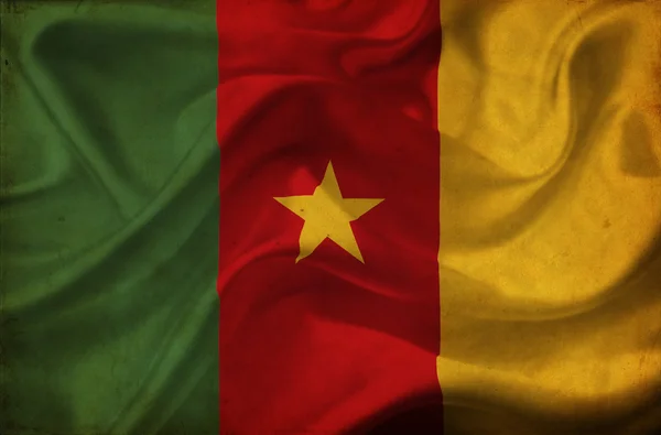 Cameroon waving flag — Stock Photo, Image
