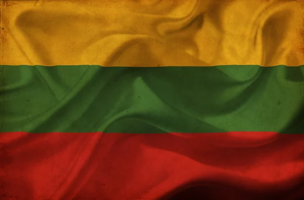 Литва розмахував прапором — стокове фото