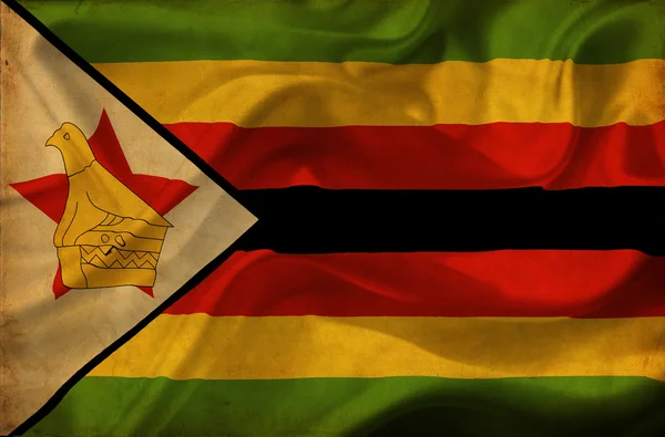 짐바브웨 흔들며 깃발 — 스톡 사진