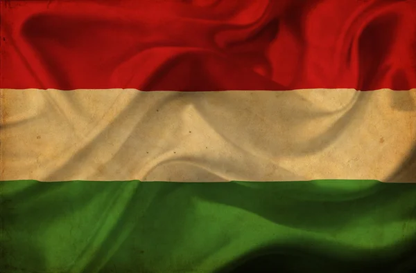 헝가리 흔들며 깃발 — 스톡 사진