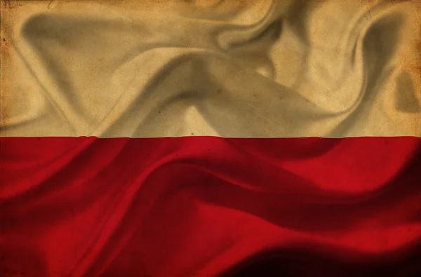 Polen wuivende vlag — Stockfoto