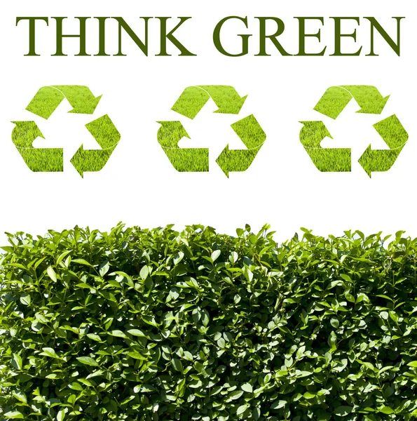 Pensar ecologia verde conceito — Fotografia de Stock