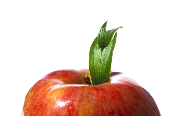 Червоне яблуко з зеленим листом - макро постріл — стокове фото