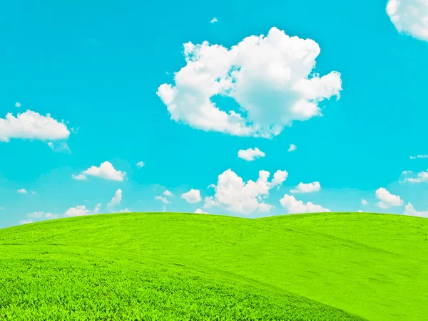 Зелене поле і блакитне небо — стокове фото