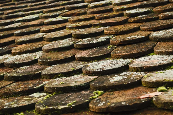 Old roof tiles on old village house — Stock Photo, Image