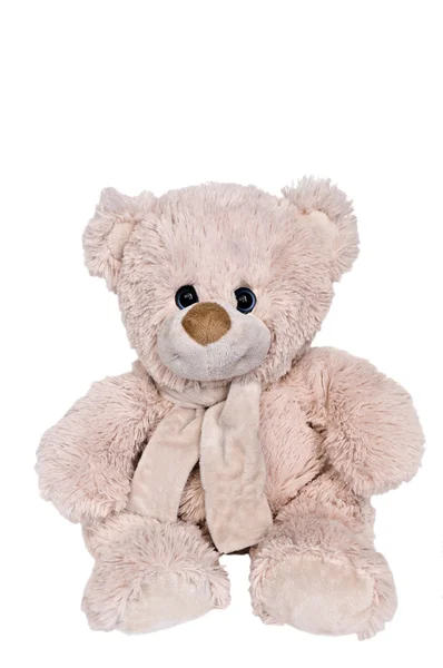 Teddybär-Spielzeug isoliert auf weiß — Stockfoto