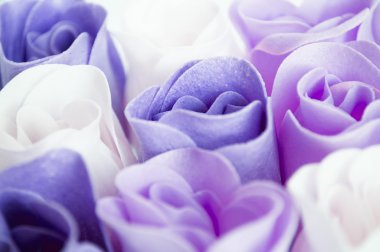Purple roses background clipart