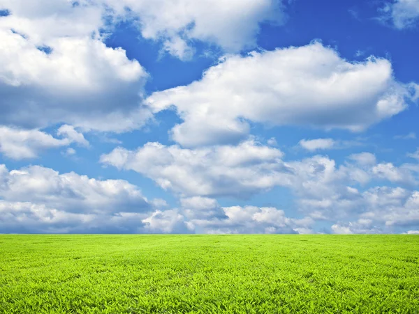 Krásné zelené pole a modré nebe — Stock fotografie
