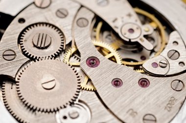 Gears and mainspring in the mechanism of a pocket watch (pocketw clipart