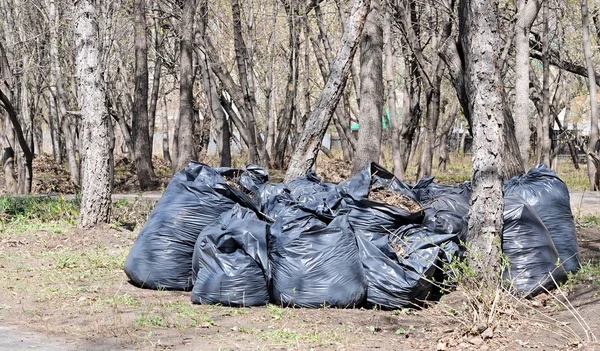 Many black garbage bags at curb — Stock Photo, Image