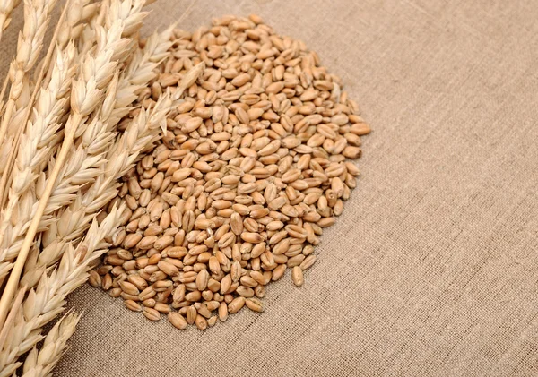 Wheat ears border on burlap background — Stock Photo, Image