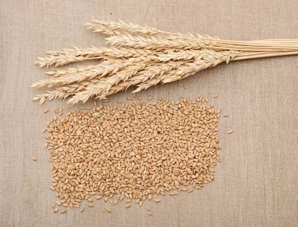 Wheat in burlap sack — Stock Photo, Image