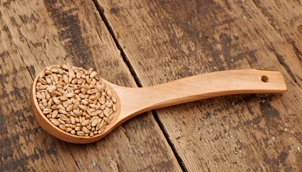 Wheat in wooden spoon on wooden table — Stock Photo, Image