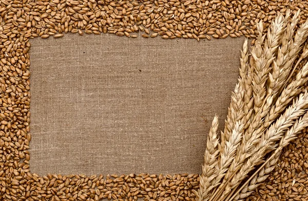 Orecchie di grano su materiale grezzo sacco — Foto Stock