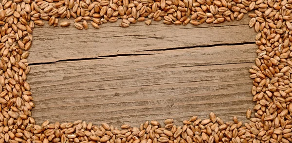 Marco de trigo sobre el fondo de madera — Foto de Stock