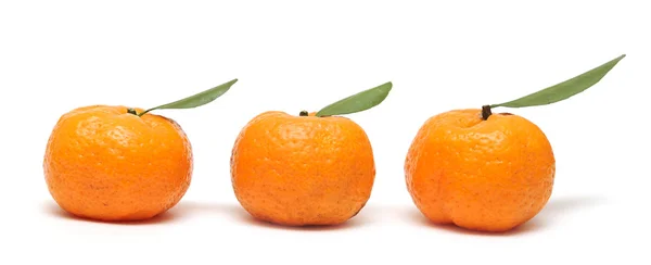 Mandarina con hojas en blanco —  Fotos de Stock