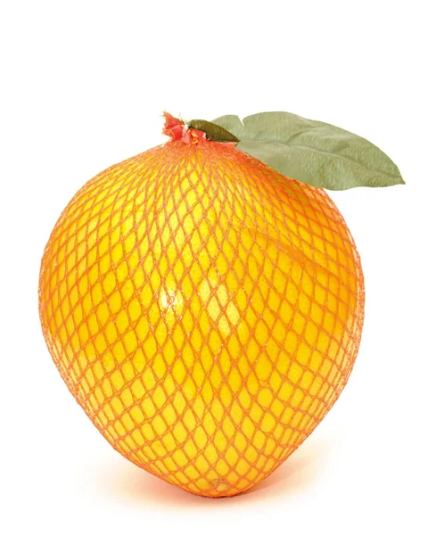 Pomarańcza olbrzymia — Zdjęcie stockowe