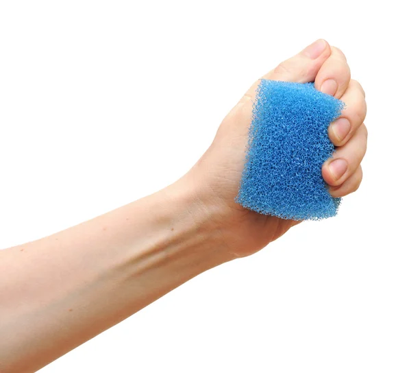 Stock image Household sponge in a hand on a white background