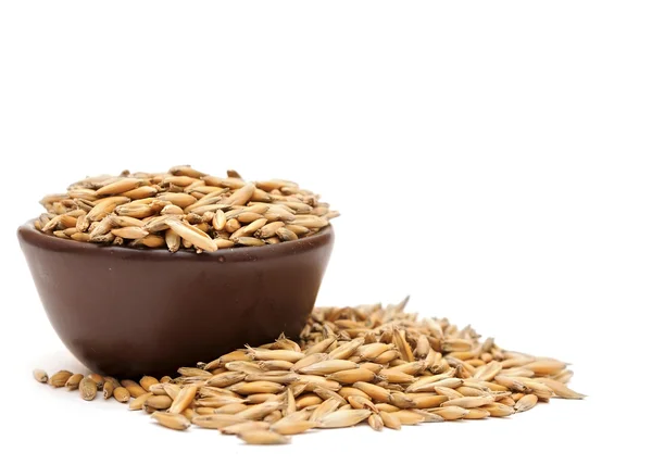 Oats in a clay bowl — Stock Photo, Image