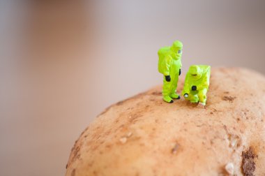 grup araştırmacı koruyucu kıyafetli bir patates teftiş.