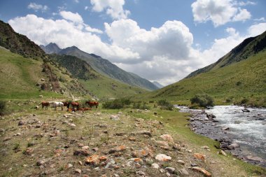 dağlarda yaz.