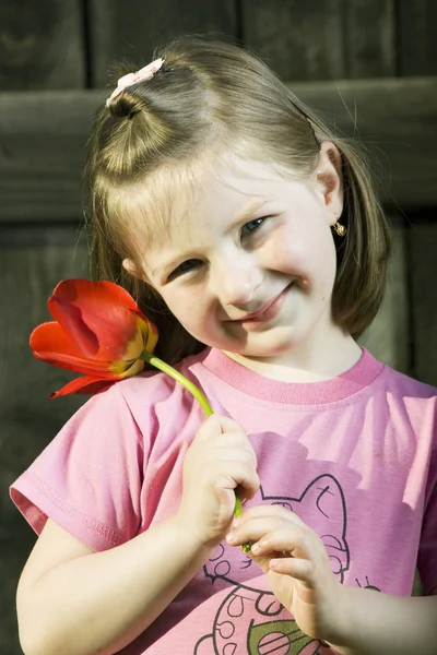 Doratura sorridente con tulipano — Foto Stock