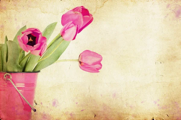 Vintage tulips — Stock Photo, Image