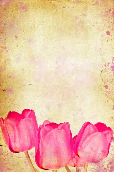 Sztuka tulipany — Zdjęcie stockowe