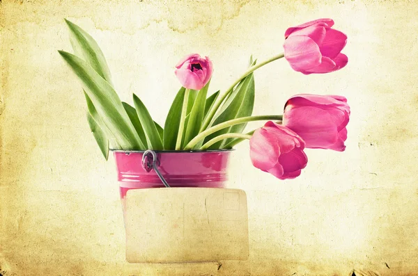 Sztuka tulipany — Zdjęcie stockowe