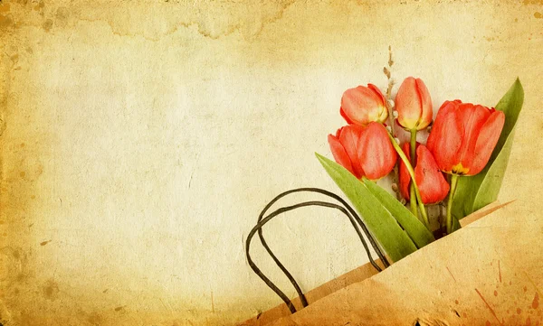 Vintage tulpen — Stockfoto