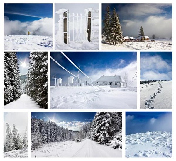 stock image Winter collage