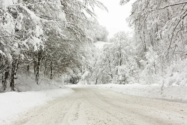 Winterweg — Stockfoto