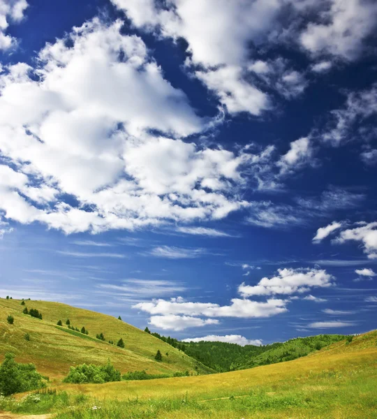 Sommar scen — Stockfoto