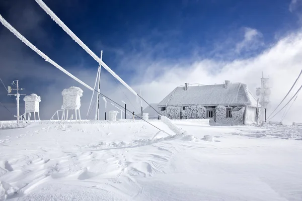 stock image Winter scene