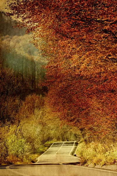Podzimní cesta — Stock fotografie