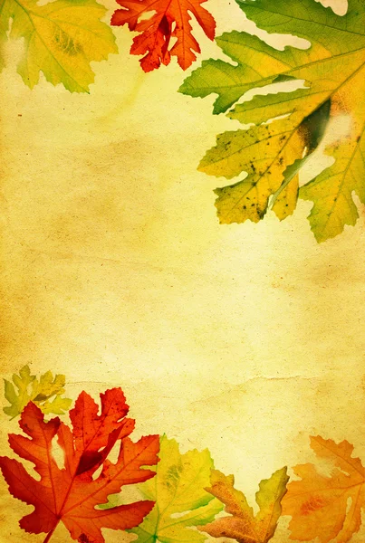 Ročník podzimní pozadí — Stock fotografie