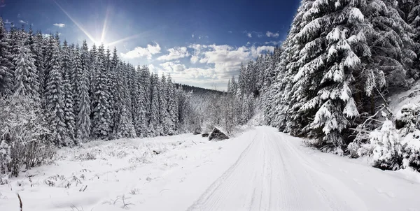 Cena de inverno — Fotografia de Stock