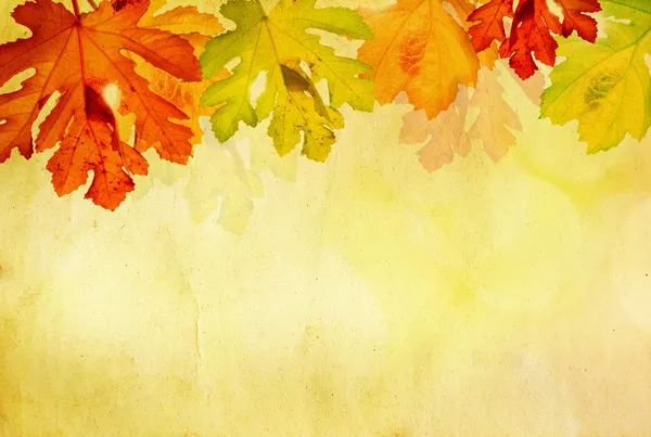 ビンテージ秋の背景 ストック写真