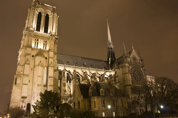 Notre dame w nocy, Paryż, Francja — Zdjęcie stockowe