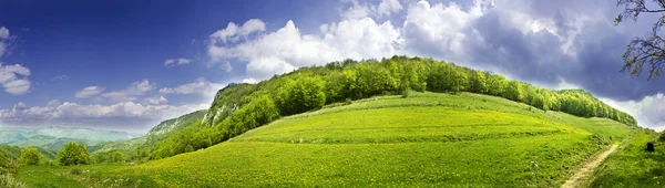 Frisches, sauberes Sommer-Landschaft-Panorama — Stockfoto