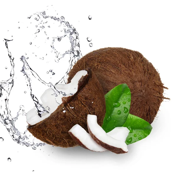 Coco con agua salpicada sobre blanco — Foto de Stock