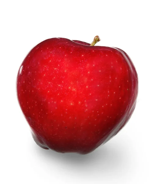 Свежие сорвать яблоки на белом фоне — стоковое фото