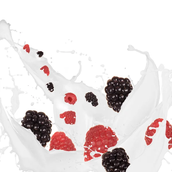 Fresh berries with milk — Stock Photo, Image