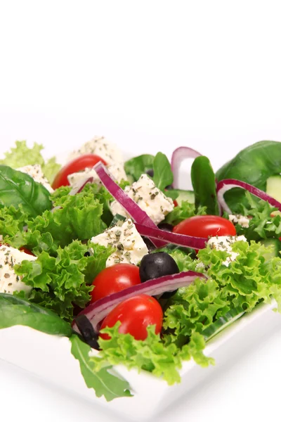 Verse gezonde tuin salade — Stockfoto