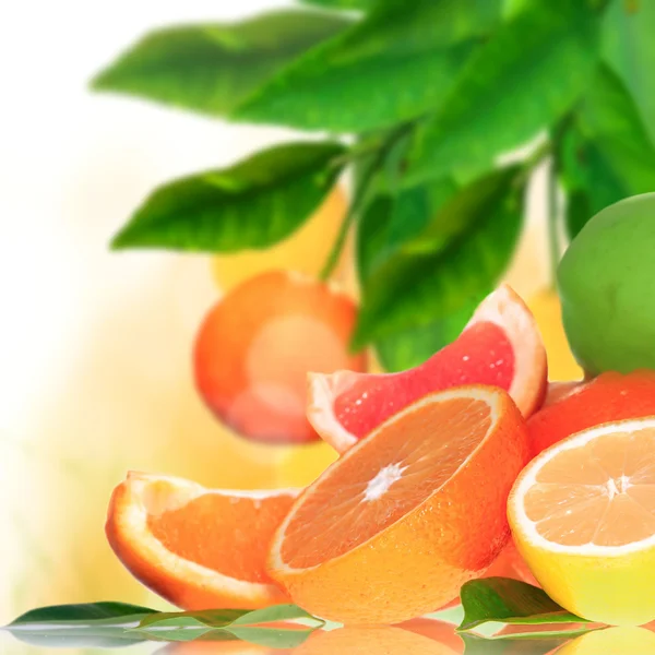 Čerstvé citrusy pozadí — Stock fotografie