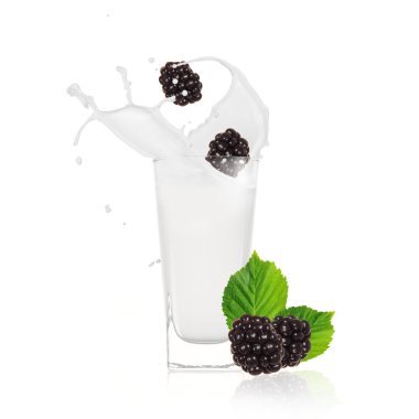 Blackberries with milk splash clipart