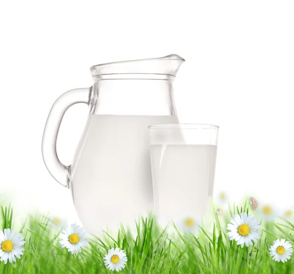 牛奶壶和玻璃在草地上 — 图库照片