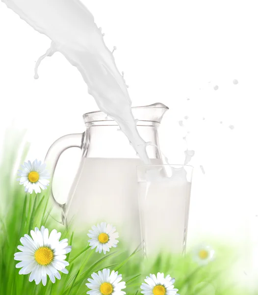 Jarra de leche y vidrio en la hierba — Foto de Stock