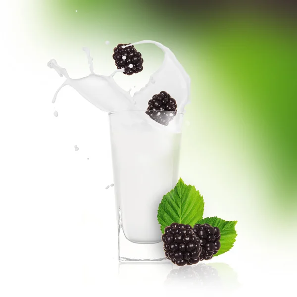 Moras con salpicaduras de leche — Foto de Stock