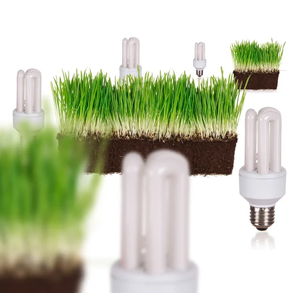 Ampoule en vert concept écologique — Photo